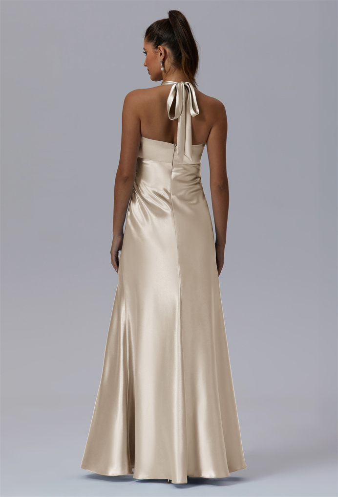 AW Sukey Dress